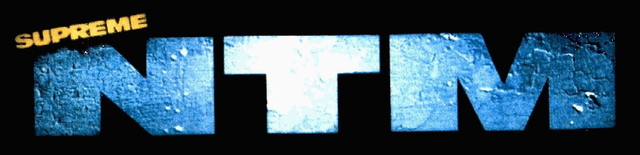 Logo_ancien_NTM.png (133 KB)